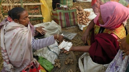 जाॅनबील मार्केट